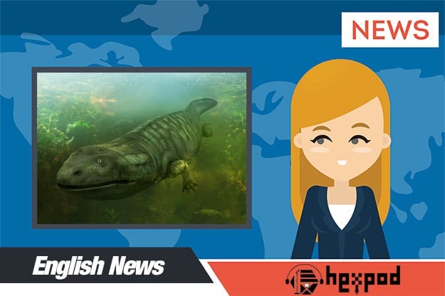 متن خبر انگلیسی - Giant Killer Salamander - English News