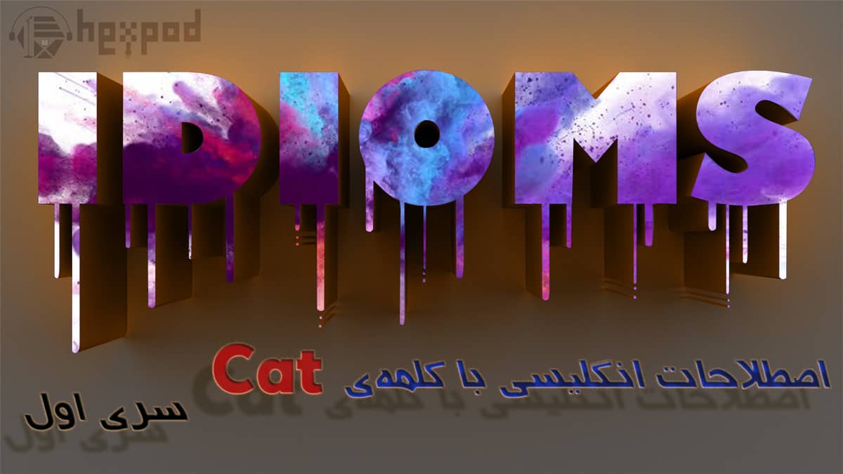 اصطلاحات زبان انگلیسی با کلمهی Cat - Idioms