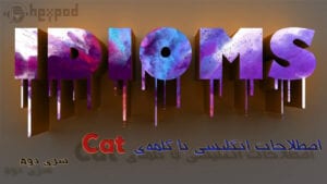 اصطلاحات زبان انگلیسی با کلمهی Cat - Idioms
