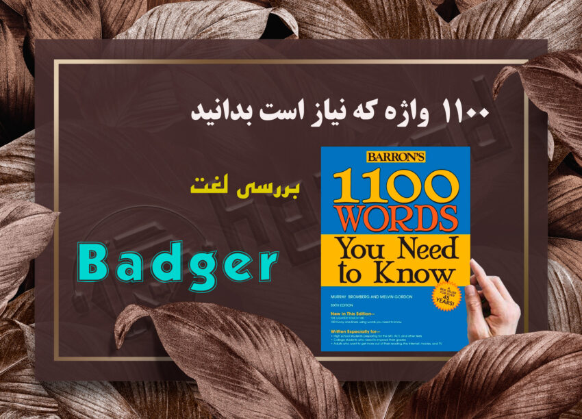 معنی Badger| کتاب 1100 واژه