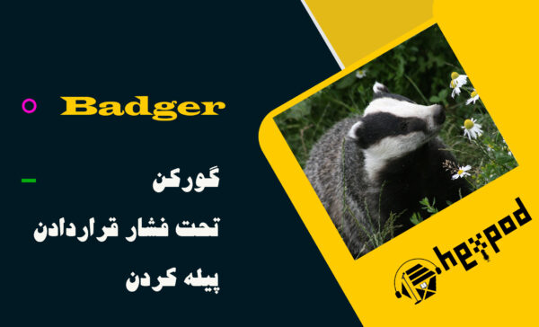 معنی Badger| کتاب 1100 واژه